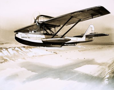 Dornier Wal, çift motorlu Alman uçan tekne by English School
