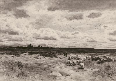 Dornoch, G Reid