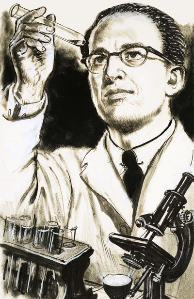Çocuk felci aşısının yaratıcısı Dr Jonas Salk bir test tüpüne bakıyor by English School