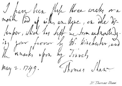 Doktor Thomas Shaw by English School