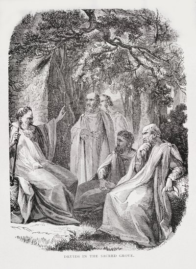 Kutsal Korudaki Druidler, Fransa Tarihinden, Emile de Bonnechose tarafından, Ward, Lock and Co, Londra tarafından yayınlandı by English School