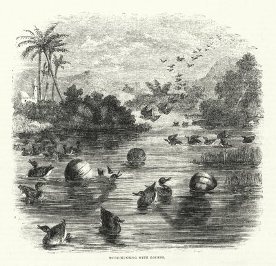 Su Kabağı ile Ördek Avı (gravür) by English School