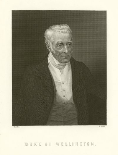 Wellington Dükü by English School
