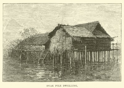 Ördek Kabuğu by English School