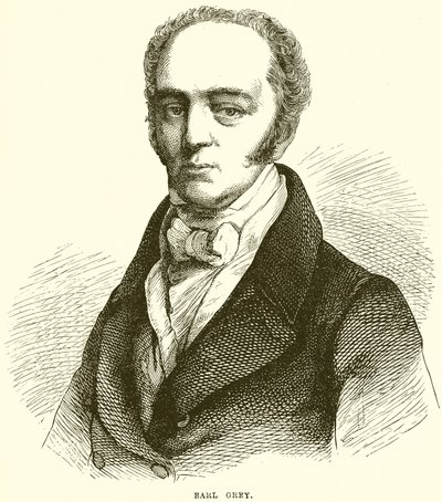 kont gri by English School