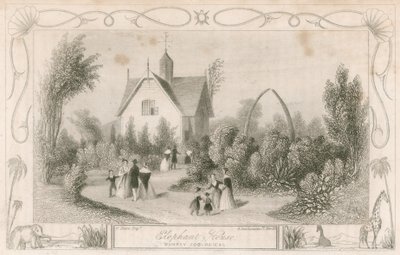 Surrey Hayvanat Bahçeleri