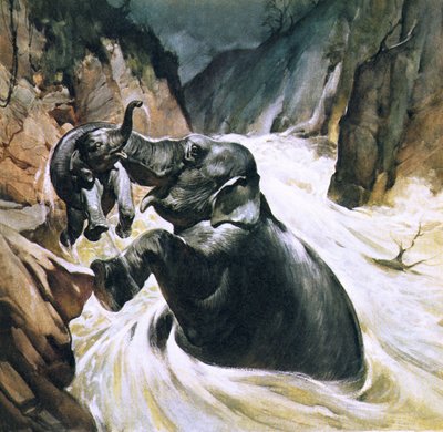 Fil yavrusunu kurtardı by English School