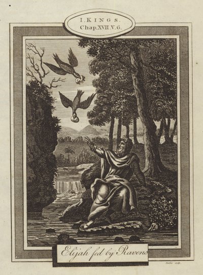 Kuzgunlar tarafından beslenen İlyas, I Kings, Chapter XVII, Verse 6 (gravür) by English School