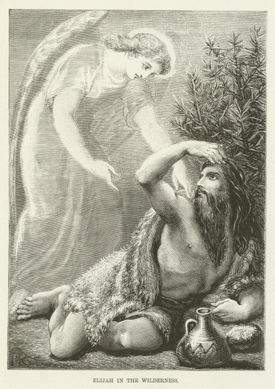 İlyas vahşi doğada by English School