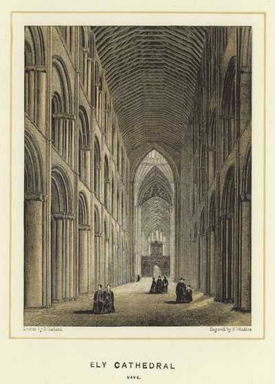 Ely Katedrali, nef by English School