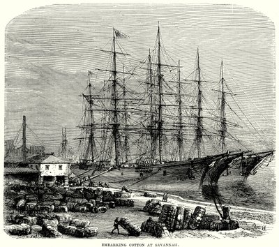 Savannah