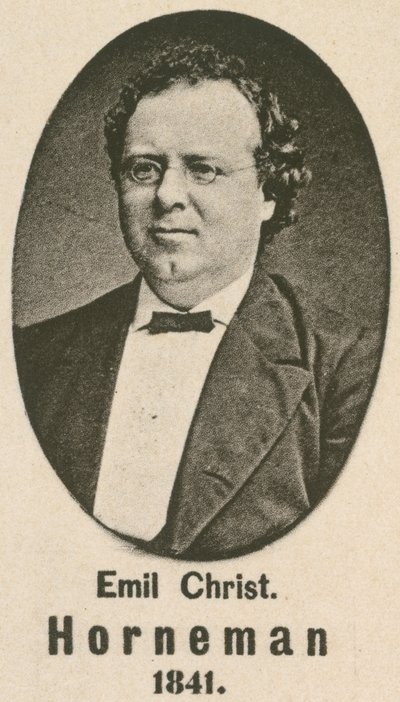 Emil Christian Horneman (gravür) by English School
