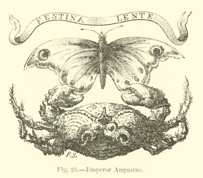İmparator Augustus by English School