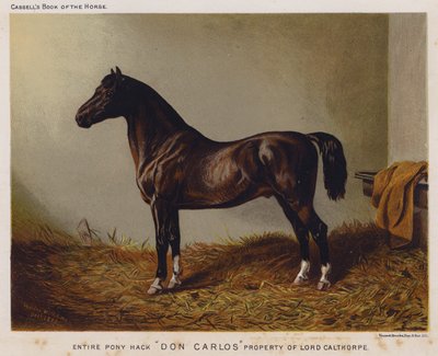 Tüm Pony Hack "Don Carlos", Lord Calthorpe