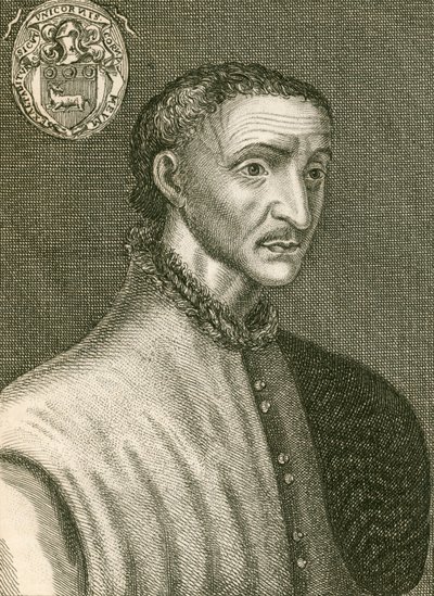 Estienne Şövalyesi by English School
