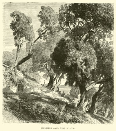 Sciacca yakınında Evergreen Oaks by English School