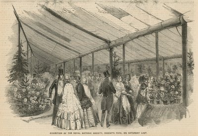 Kraliyet Botanik Derneği Sergisi by English School