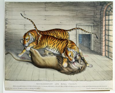 Olağanüstü ve Ölümcül Savaş, 1830 (renkli taş) by English School