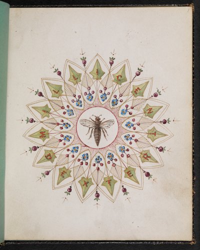 F.1: Bir tasarım içinde böcek. Charles Dickens hikayelerinden sahneler içeren eskiz defteri (kağıt üzerine suluboya) by English School