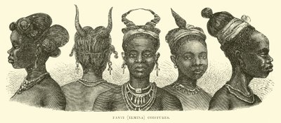 Fanti (Elmina) Saç Modelleri by English School