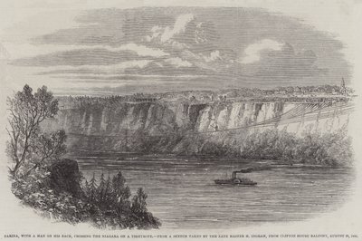 Farina, Sırtında Bir Adamla, Niagara