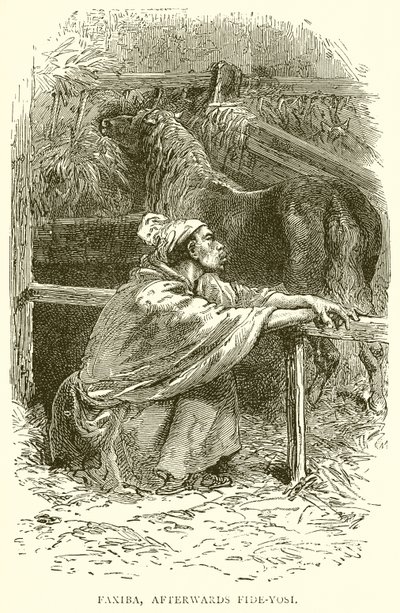 Faxiba, daha sonra Fide-Yosi by English School