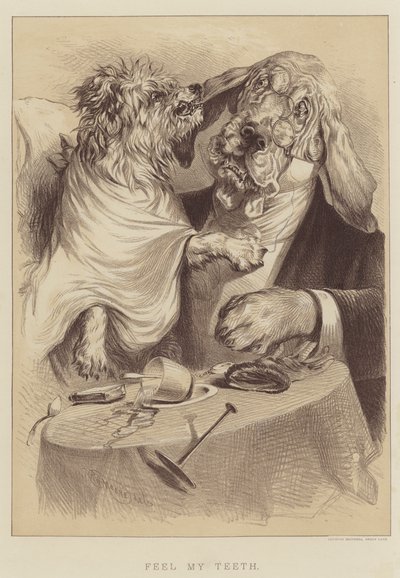 Dişlerimi Hisset (lito) by English School