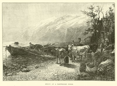 Norveç Fiyordunda Feribot by English School