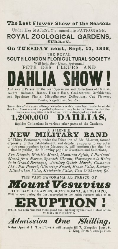 Çiçek Festivali ve Dahlia Gösterisi by English School