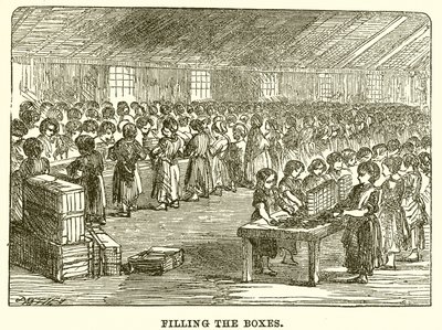 Kutuları Doldurmak by English School