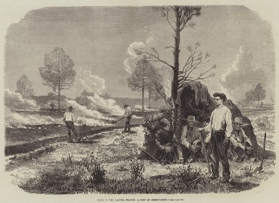 Landes, Fransa