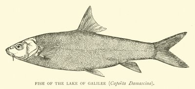 Galile Gölü