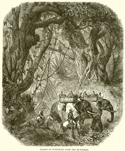 Avrupalıların İsyancılardan Kaçışı by English School