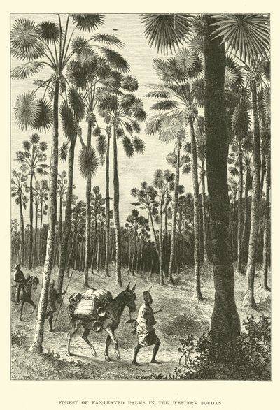 Batı Sudan
