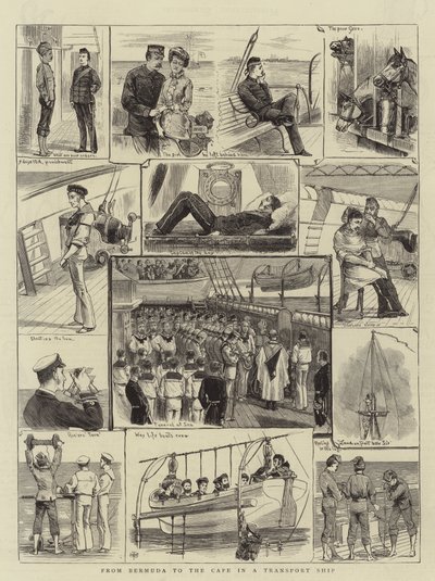 Bermuda'dan Bir Nakliye Gemisinde Cape'e (gravür) by English School