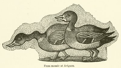 Avignon