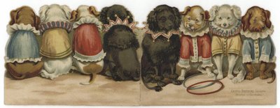Sirk kostümlü köpekleri gösteren bir kartın ön ve arka kapağı by English School