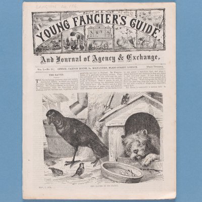 The Young Fanciers Guide, 1874