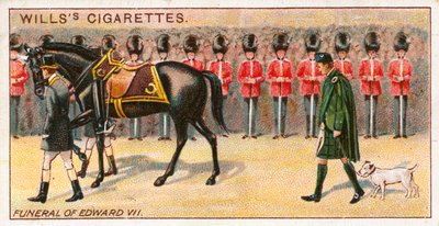 Kral Edward VII