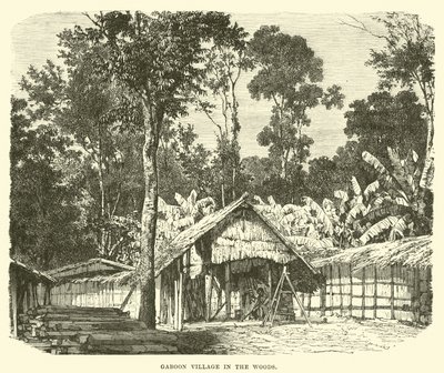 Ormanda Gaboon Köyü by English School