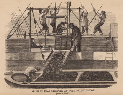 Kömür kırbaçları çetesi köprünün altında iş başında by English School