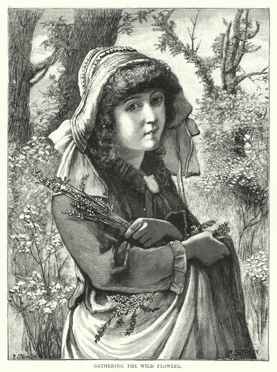 Kır çiçeklerini toplamak (gravür) by English School