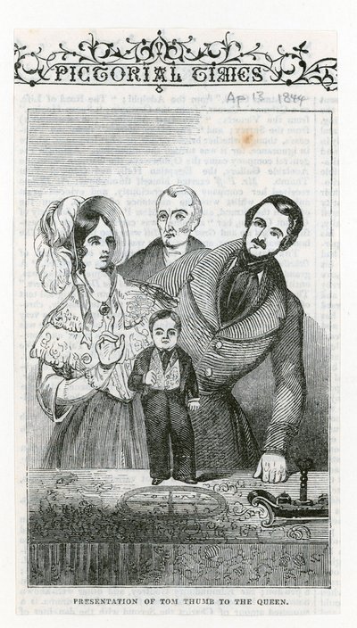 Genel Tom Başparmak by English School