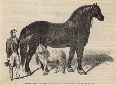 General Washington, mamut at by English School