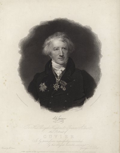 Georges küpü by English School