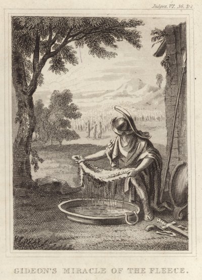 Gideons Polar Mucizesi by English School