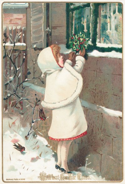Holly