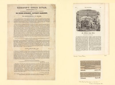Gliddons Puro Divanı, Şubat 1825