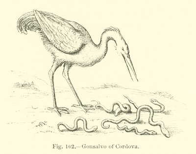 Cordova