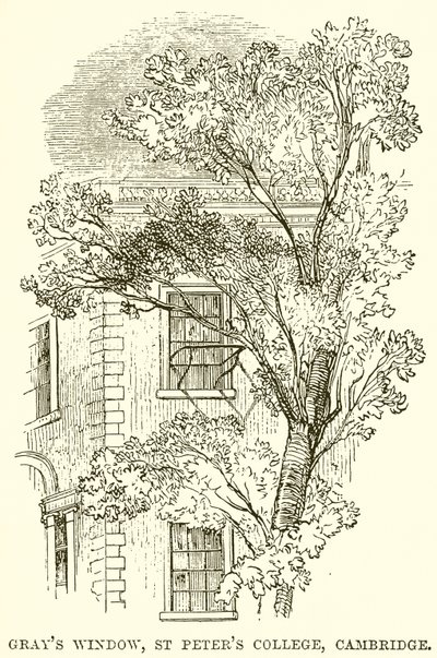 Griler Penceresi, St Peters Koleji, Cambridge by English School